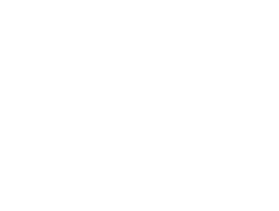 EV Rallijs