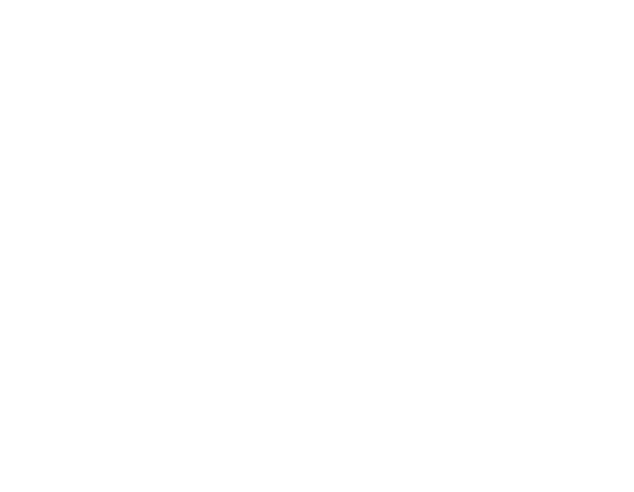 EV Rallijs