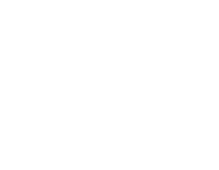 EV Rallijs